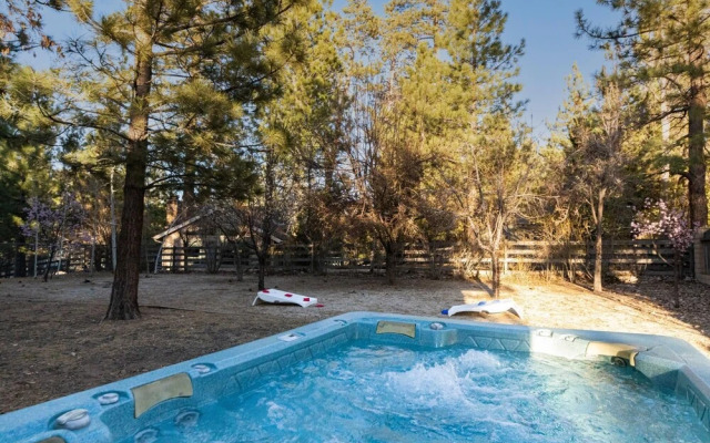 Bluebird Ct - Starling