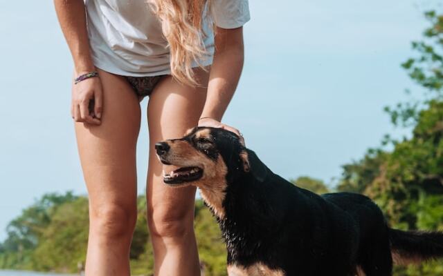 Casa del Pavo Real Boutique Hotel