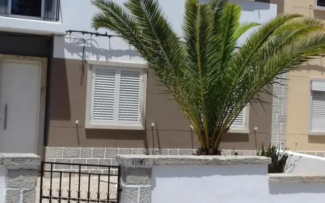 Palmeira