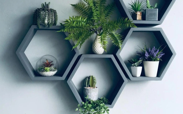 The Madam Herself B&B