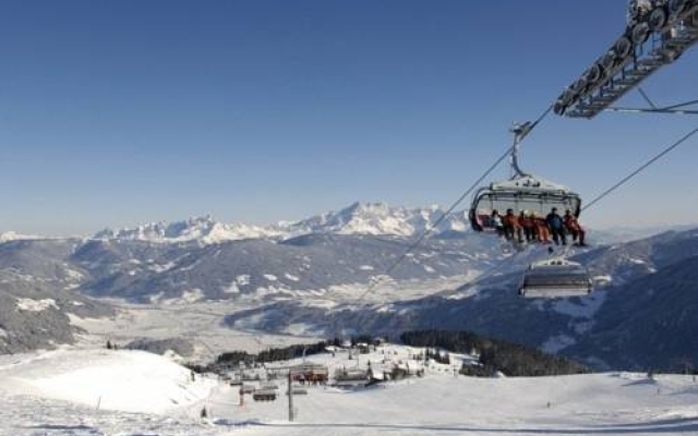 Alpenfex