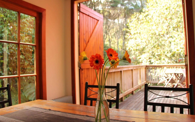 The Coromandel Treehouse