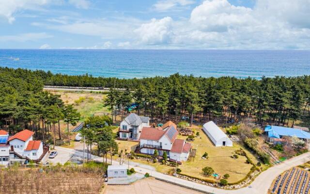 Gangneung Gadunji Pension
