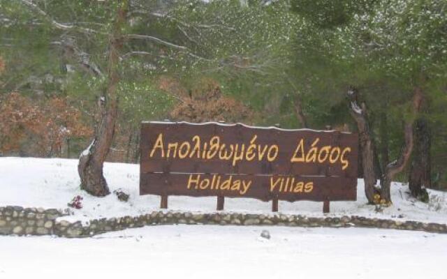 Apolithomeno Dasos Holiday Villas