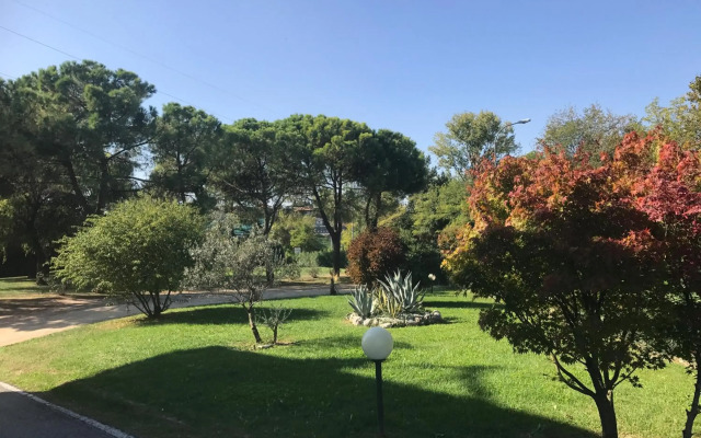 Nuova Barcaccia