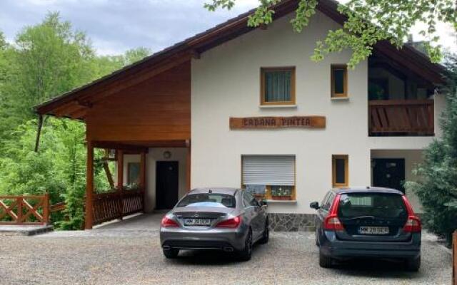 Pensiune păstrăvărie La pintea haiducu