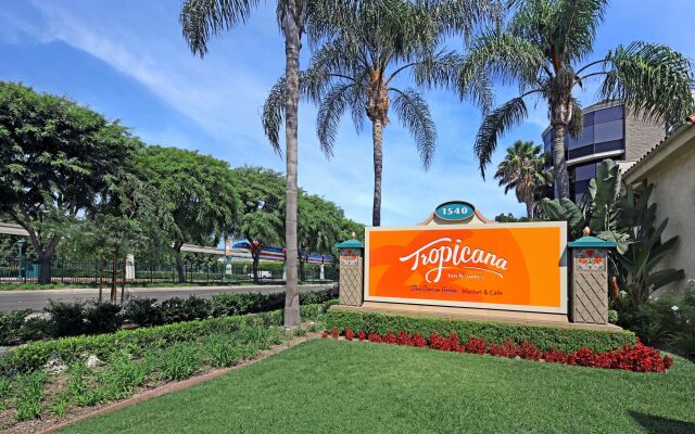 Tropicana Inn and Suites
