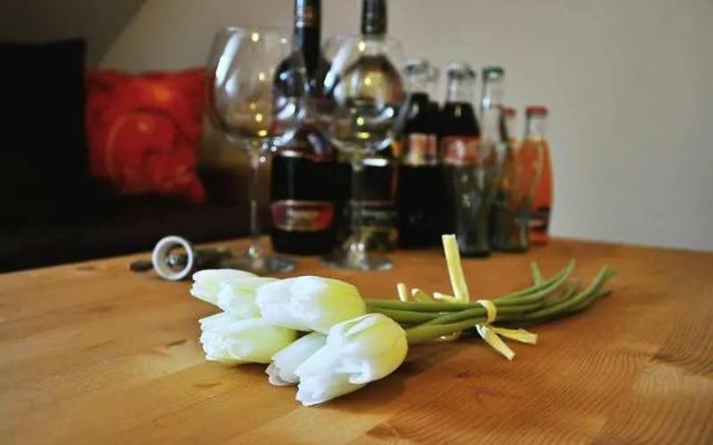 Penzion Rosenau