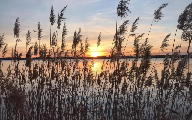 Pool & Lake Holiday Home