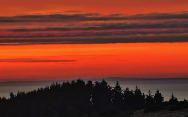 Secluded Cabin Retreat in Ilfracombe