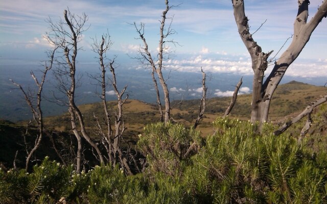 Tetebatu Indah Homestay