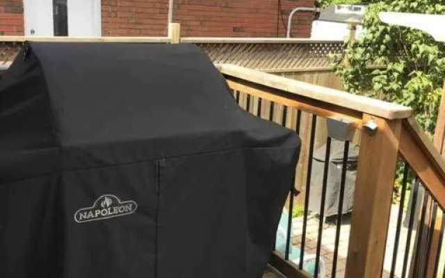 A Gem in the Heart of Ottawa