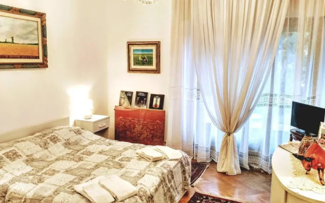 Piazza Del Grano Treviso Center