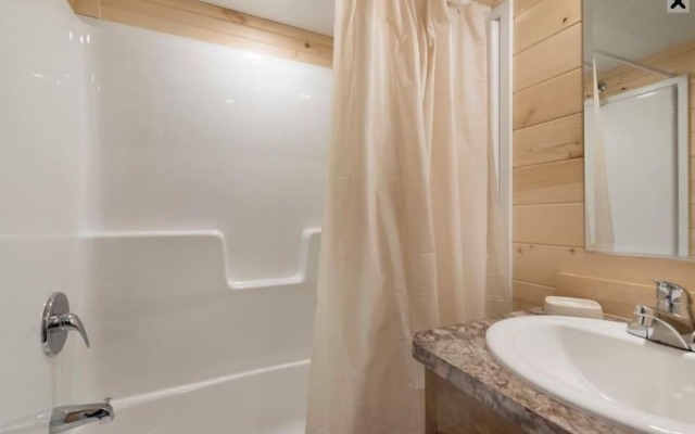 Appalachian Campsites