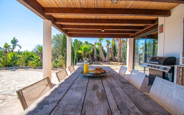 Yoba Horse Farm in Carvoeiro