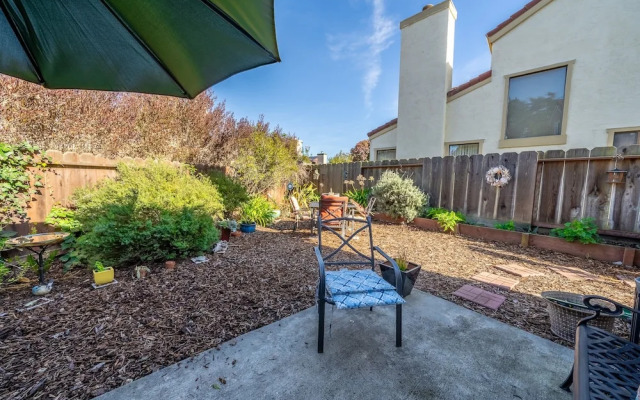 Succulents & Seashells Coastal Paradise by Beach