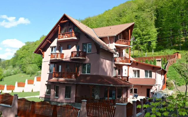 Pensiunea Contesa 3*