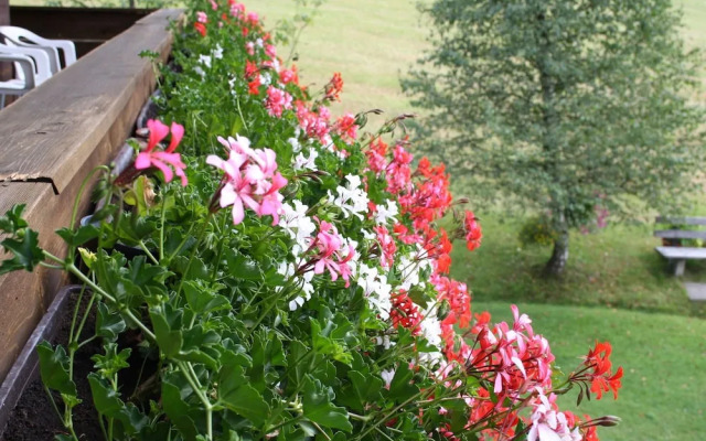 Spacious Holiday Home in Niederau near Ski Area