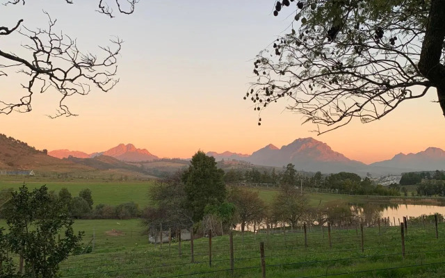 Wildlife Retreat on a Wine-Farm