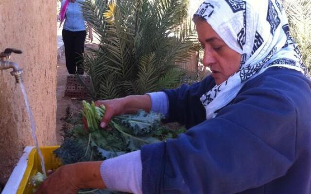 Habiba Organic Farm