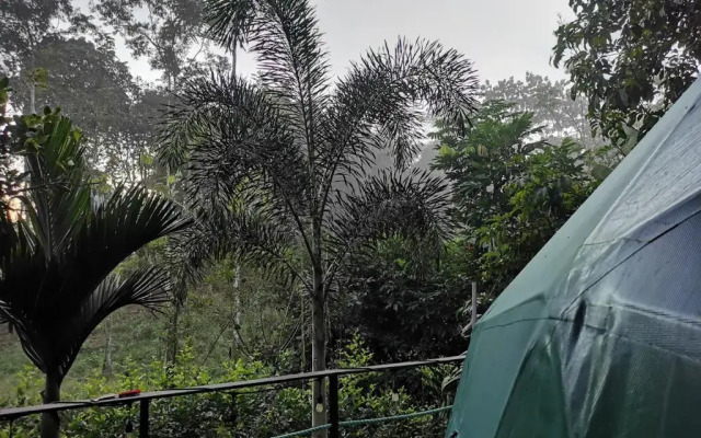 Momotus Glamping
