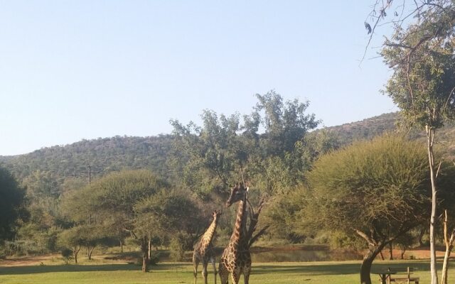 Thandile Country Lodge