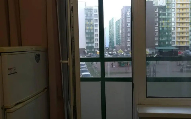 Apartments on Ruchevsky 9