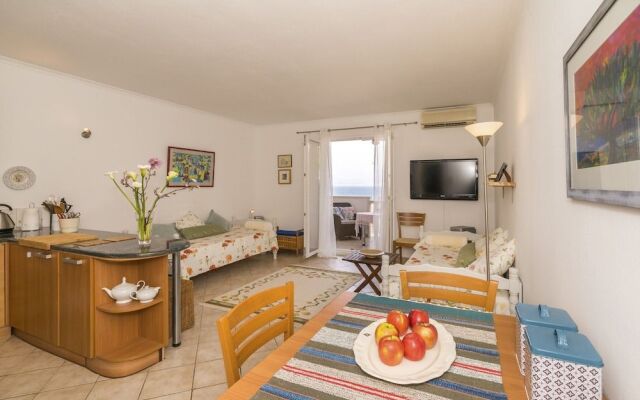 Apartment Pirka