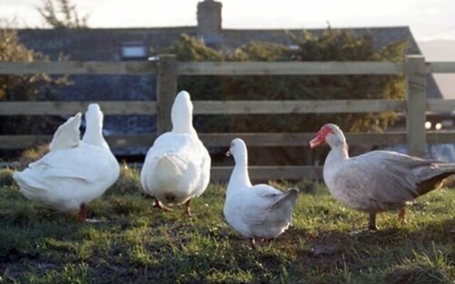 Ald White Craig Farm