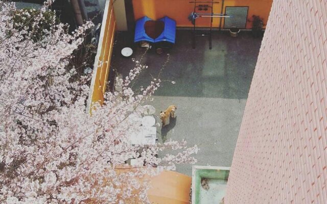 Long stay hostel Sinchon Hongdae
