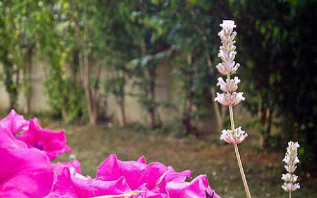 House Garden Venezia