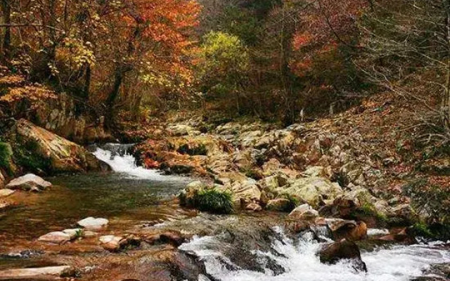 xiaobinnengzhuang