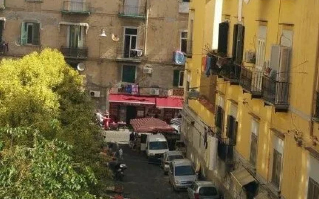 Neapolitan Experience BB