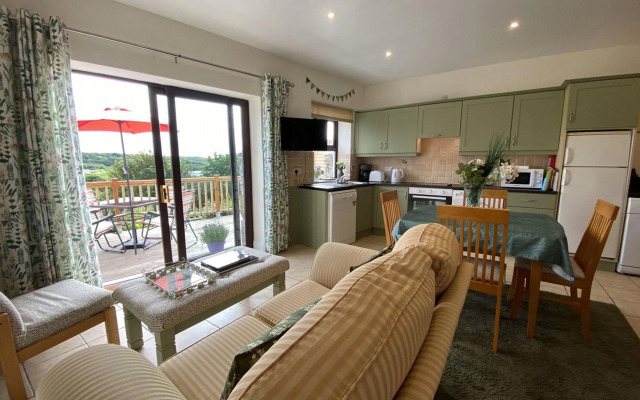 Apartment 432 - Clifden