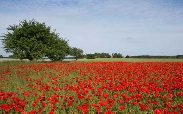 Spacious Holiday Home in Boiensdorf With Garden