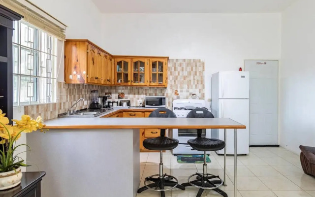 Lovely 1-bed in Montego Bay-rose View Apartment