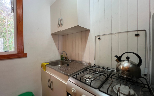Oceana Suites Rayen Lican-Ray