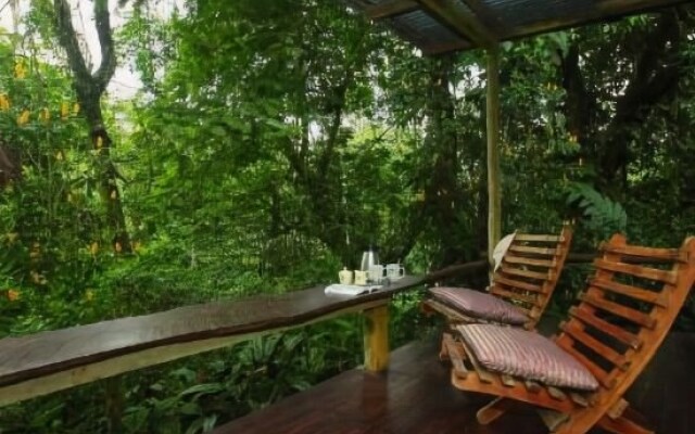 Casa Rio Blanco Eco Friendly B&B