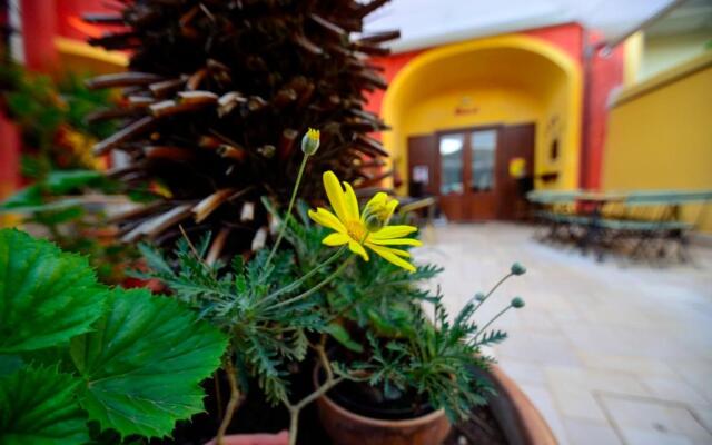 Manouche B&B Bistrot