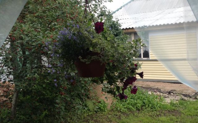 Holiday Home On Ippodromnaya