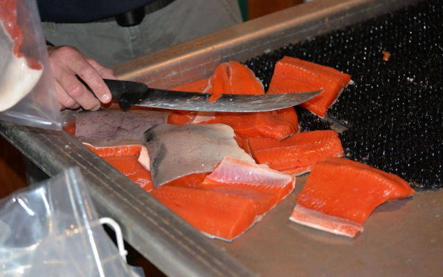 Salmon Catcher Lodge