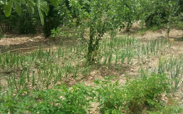 La Sorgente delle Madonie