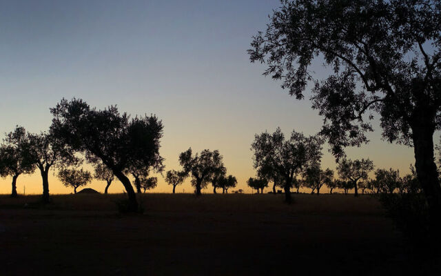 Herdade da Urgueira