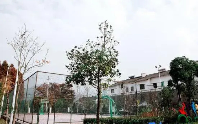 Original Work Guesthouse