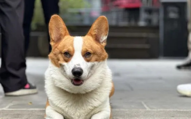 Wuzhishan Yisuli Theme Inn