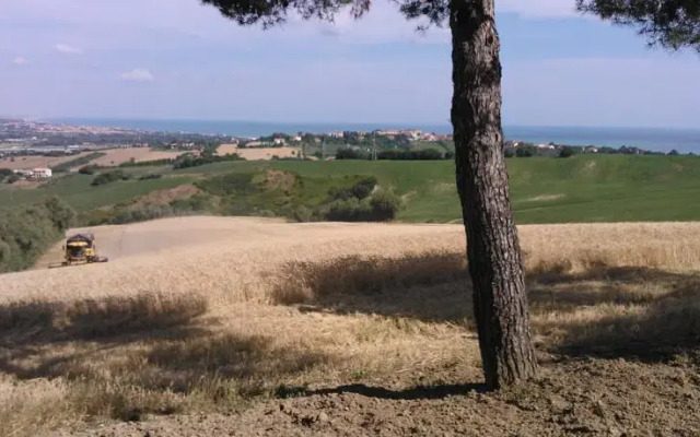 Bed & Breakfast Il Castello Di Barcaglione