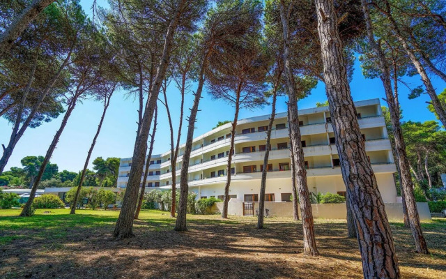 Bilo 5
