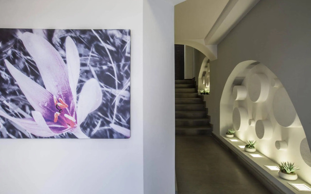 Viol Boutique Rooms