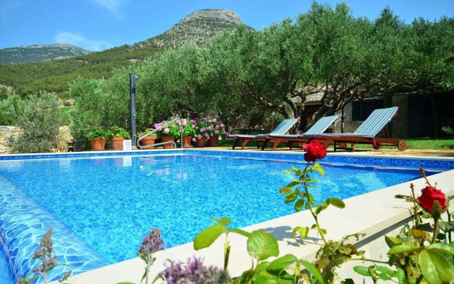 Vojo - Private Swimming Pool - H