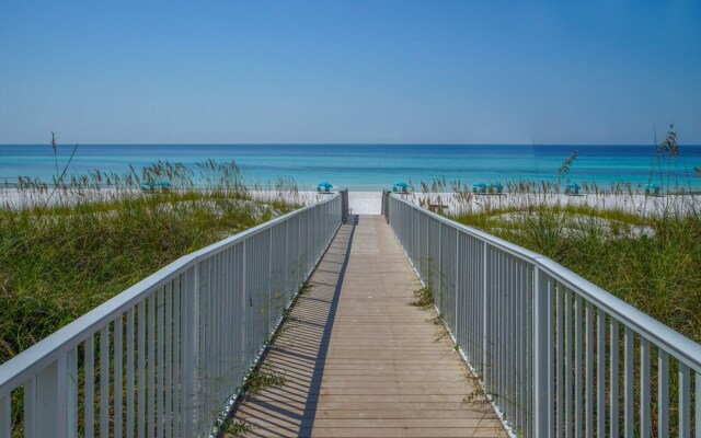 The Magnolia in Caribe - 1784242